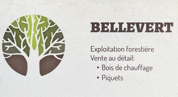 Bellevert Anthony