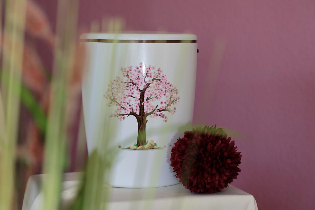 Dreschke Bestattungen Fromageot GmbH, Oranienburger Straße in Berlin