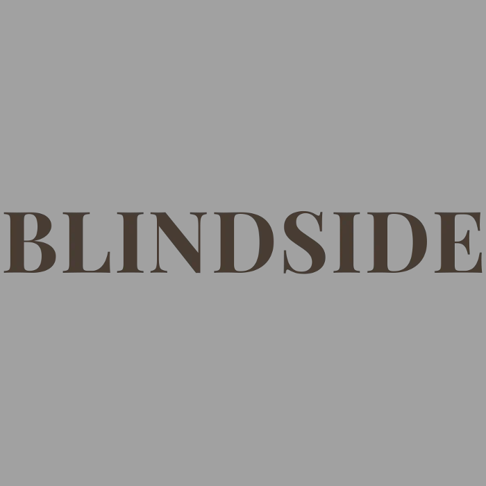 BlindSide - Bismarck, ND