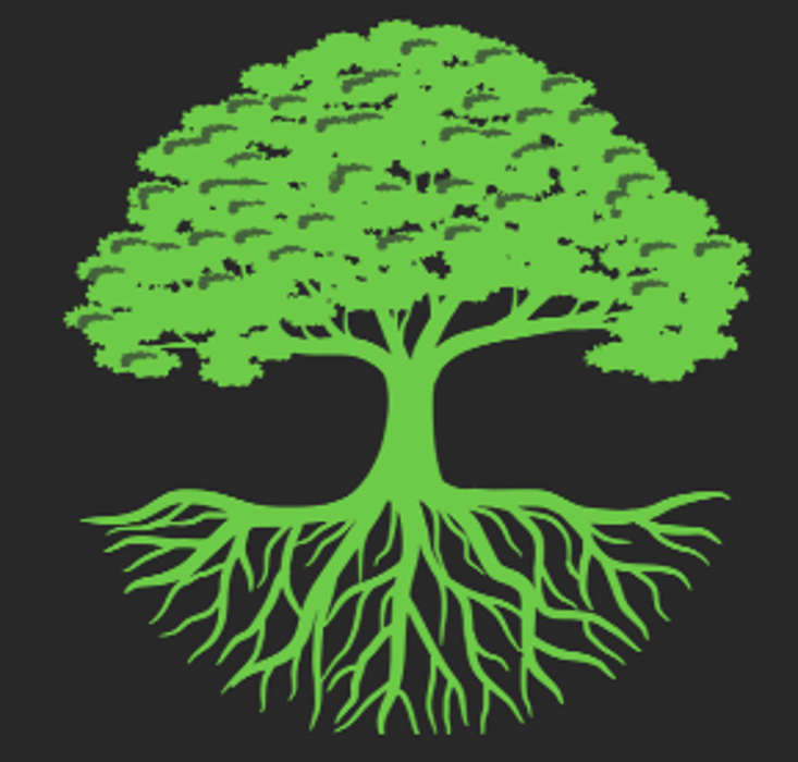 McDowell Landscaping - Queen Creek, AZ
