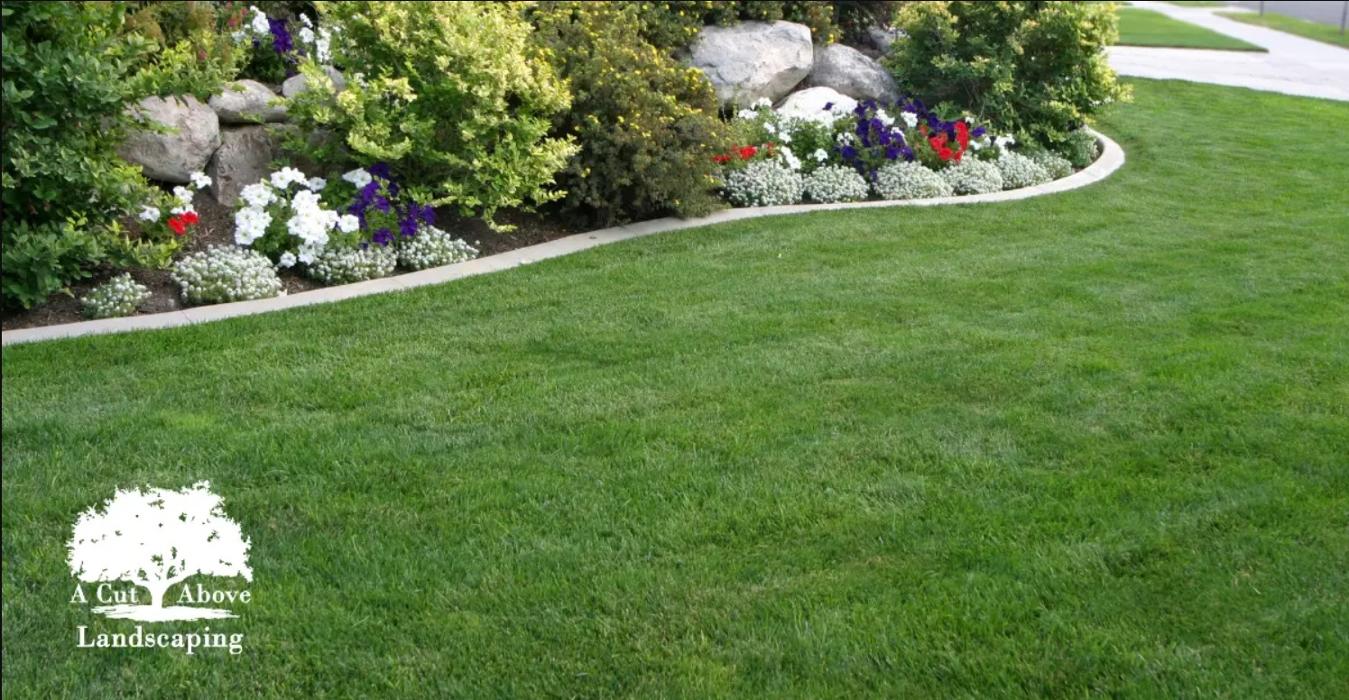 A Cut Above Landscaping - Pensacola, FL