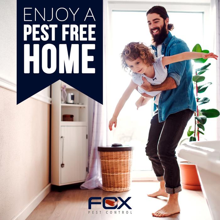 Fox Pest Control Lafayette - Scott, LA