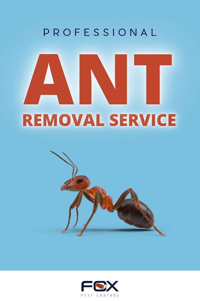 Fox Pest Control Lafayette - Scott, LA