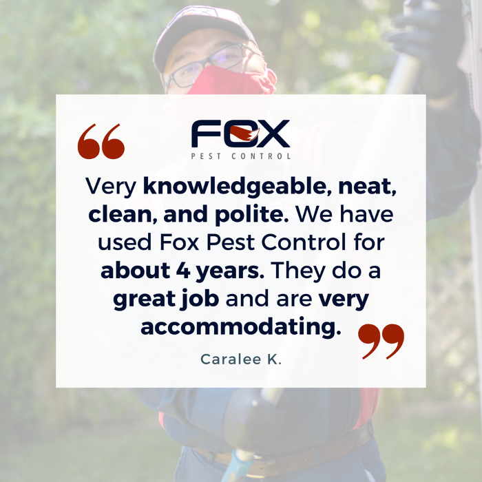 Fox Pest Control Lafayette - Scott, LA