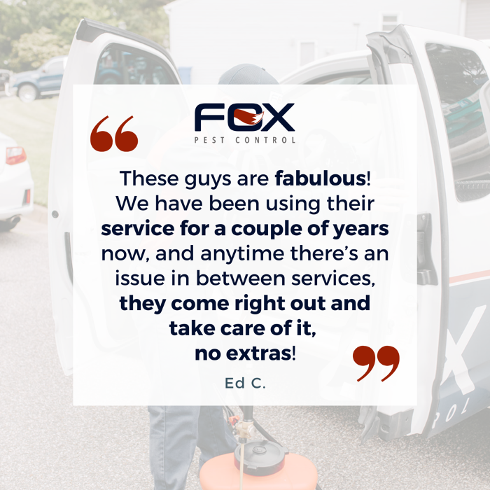 Fox Pest Control Lafayette - Scott, LA