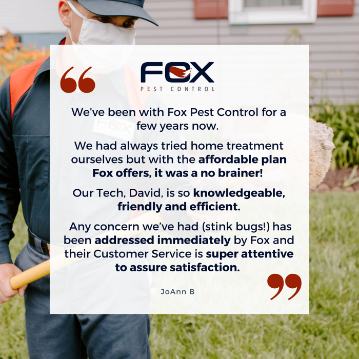Fox Pest Control Lafayette - Scott, LA