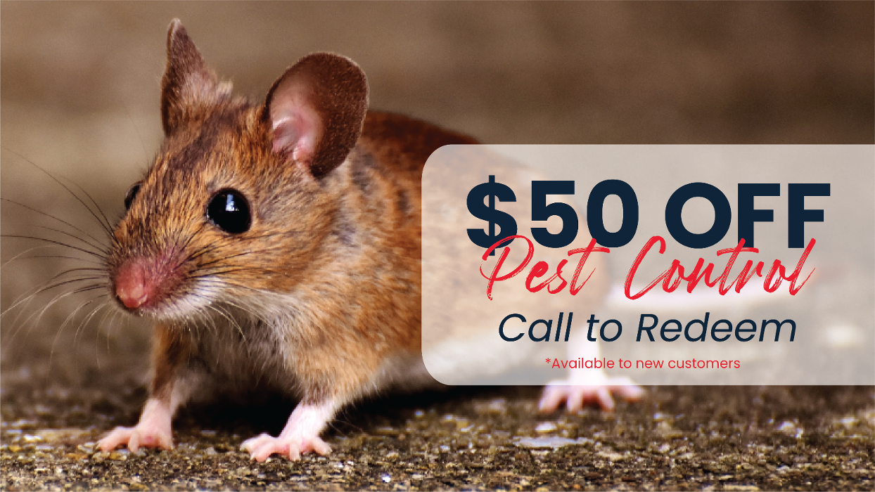 Fox Pest Control Lafayette - Scott, LA