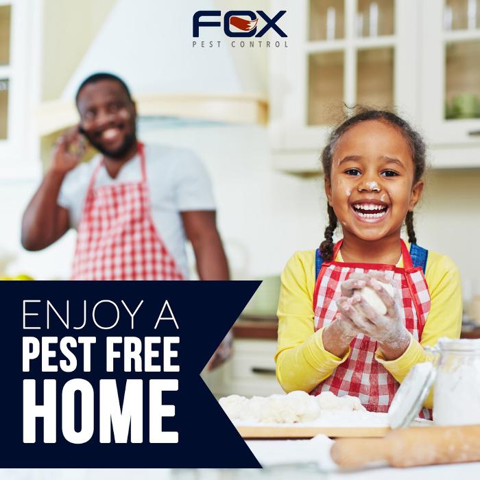Fox Pest Control Lafayette - Scott, LA