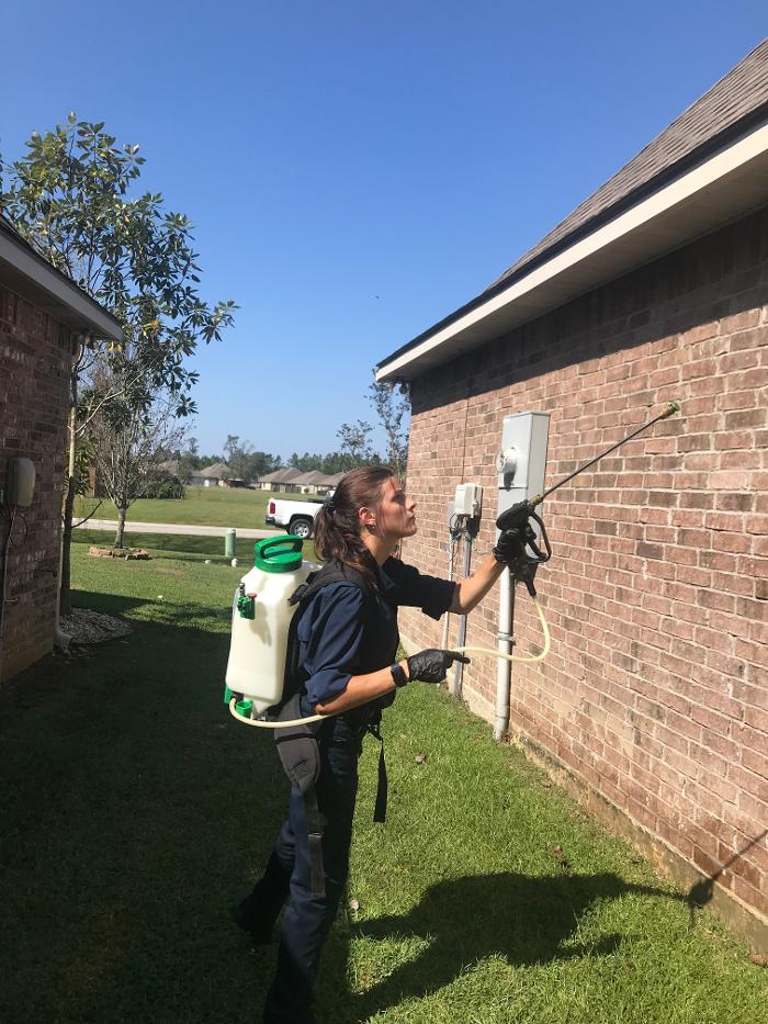 Fox Pest Control Lafayette - Scott, LA