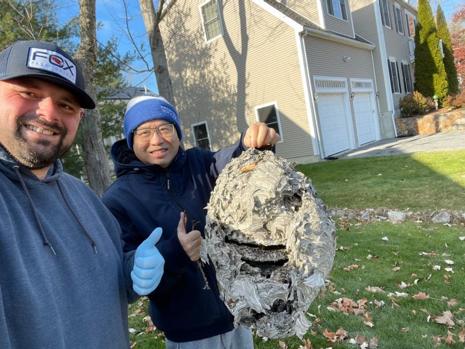 Fox Pest Control Gurnee - Gurnee, IL