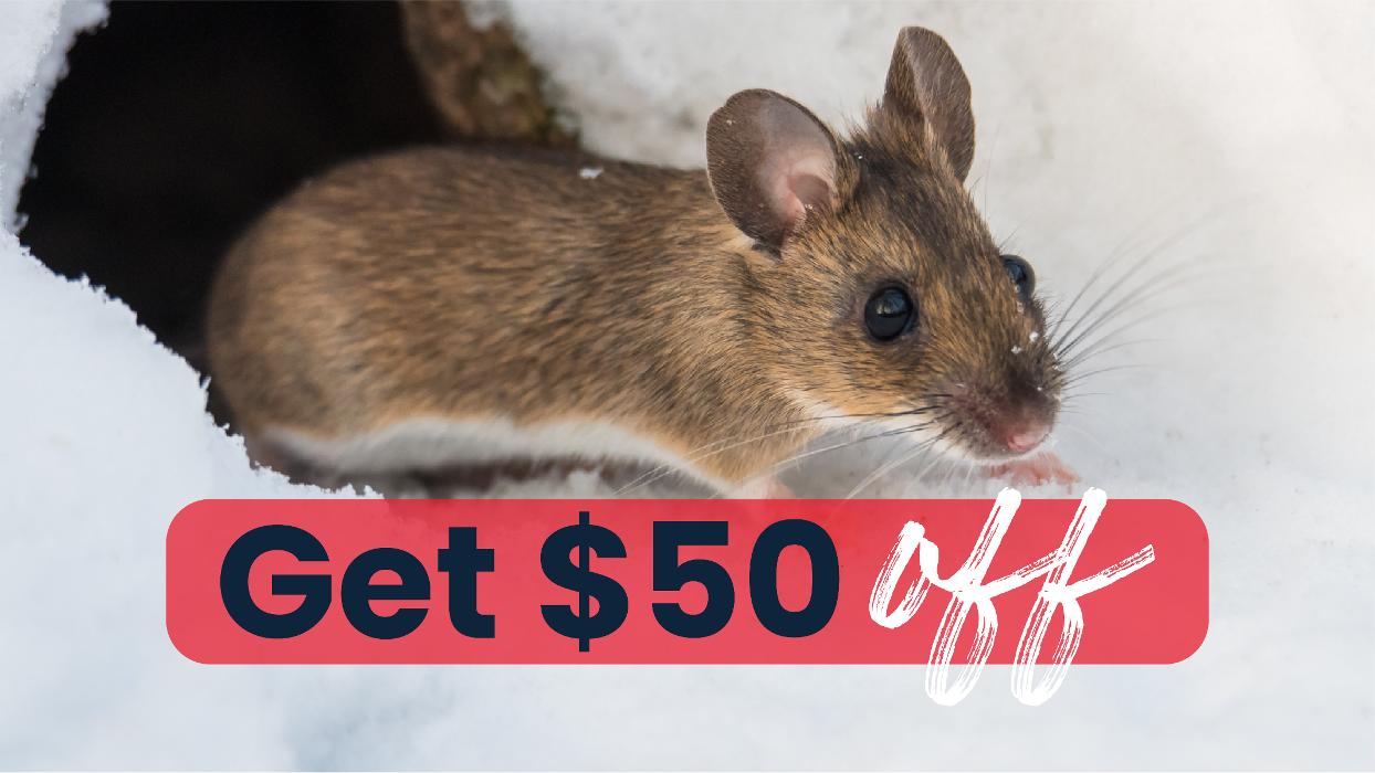 Fox Pest Control Gurnee - Gurnee, IL