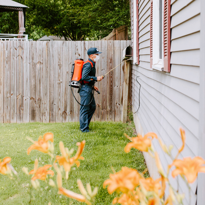 Fox Pest Control Gurnee - Gurnee, IL