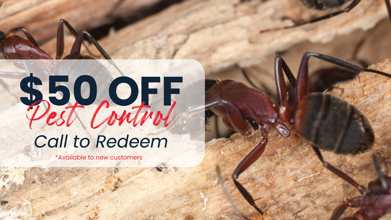 Fox Pest Control Gurnee - Gurnee, IL