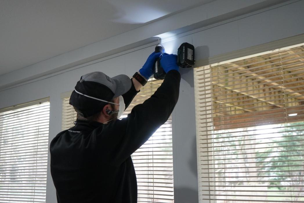 Fox Pest Control Acton Image