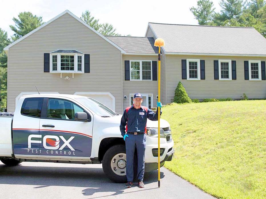 Fox Pest Control Acton Image