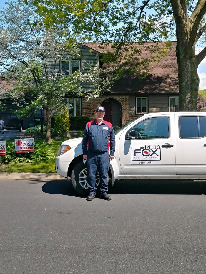 Fox Pest Control Acton Image