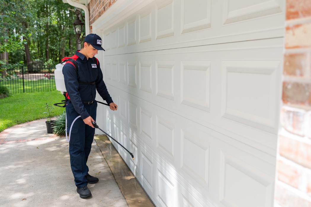 Fox Pest Control Acton Image