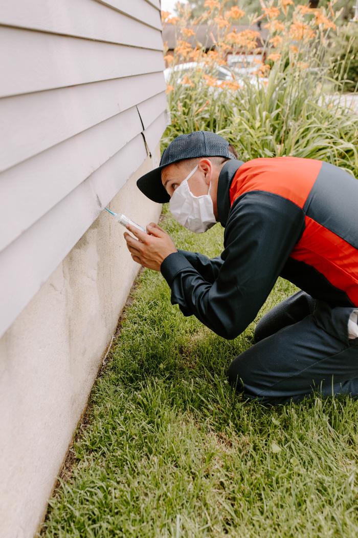 Fox Pest Control Acton Image