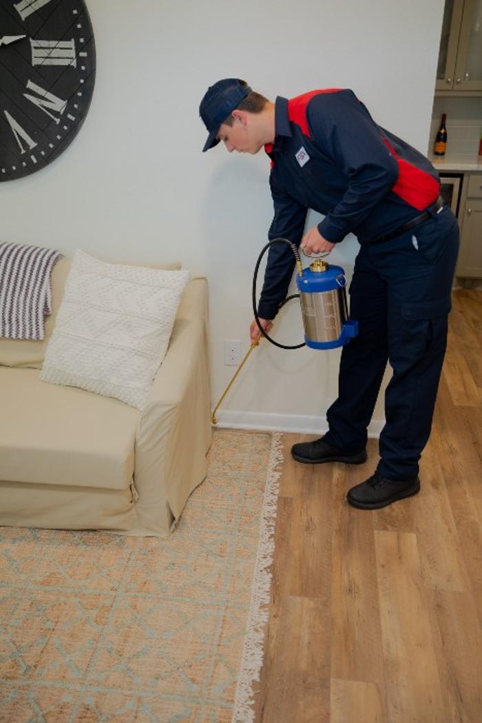 Fox Pest Control Acton Image