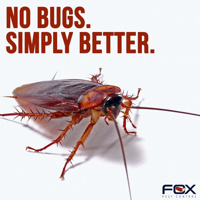 Fox Pest Control Acton Image