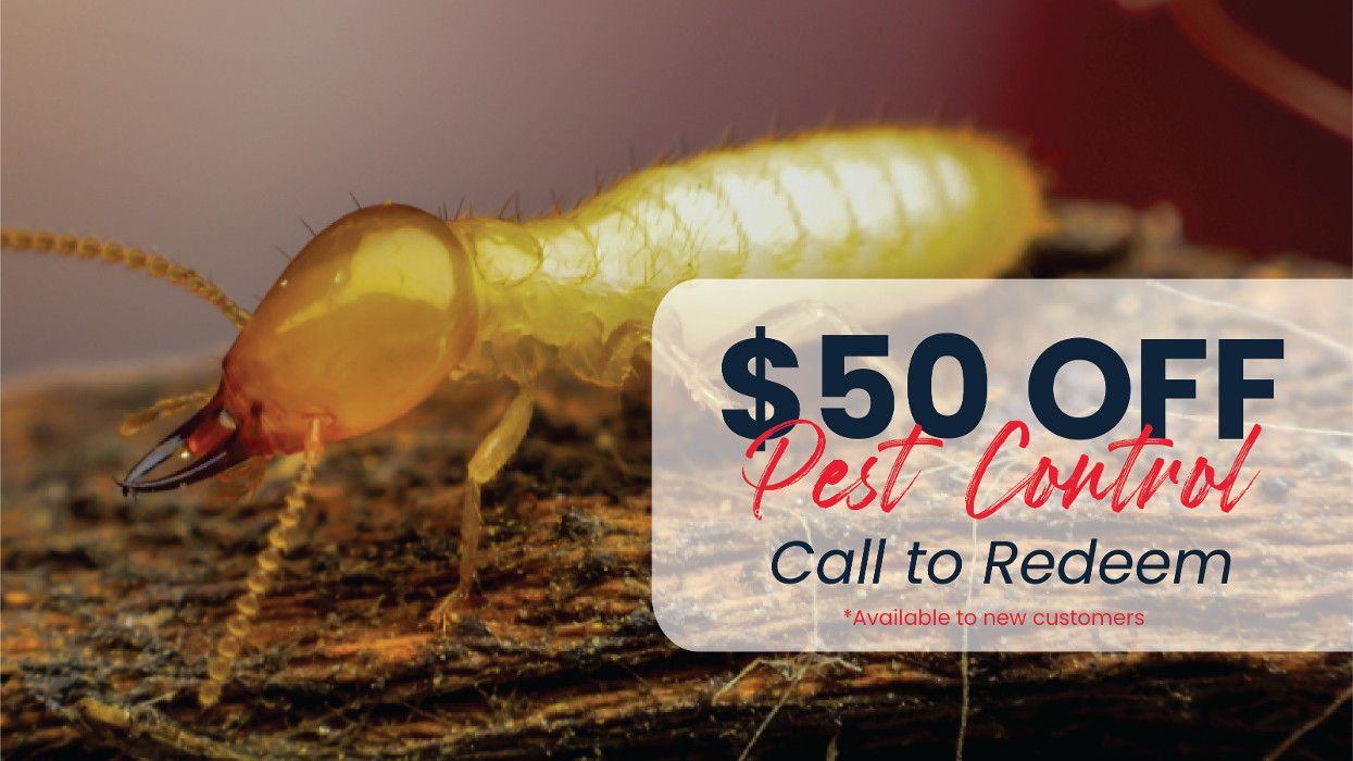 Fox Pest Control Lexington Image