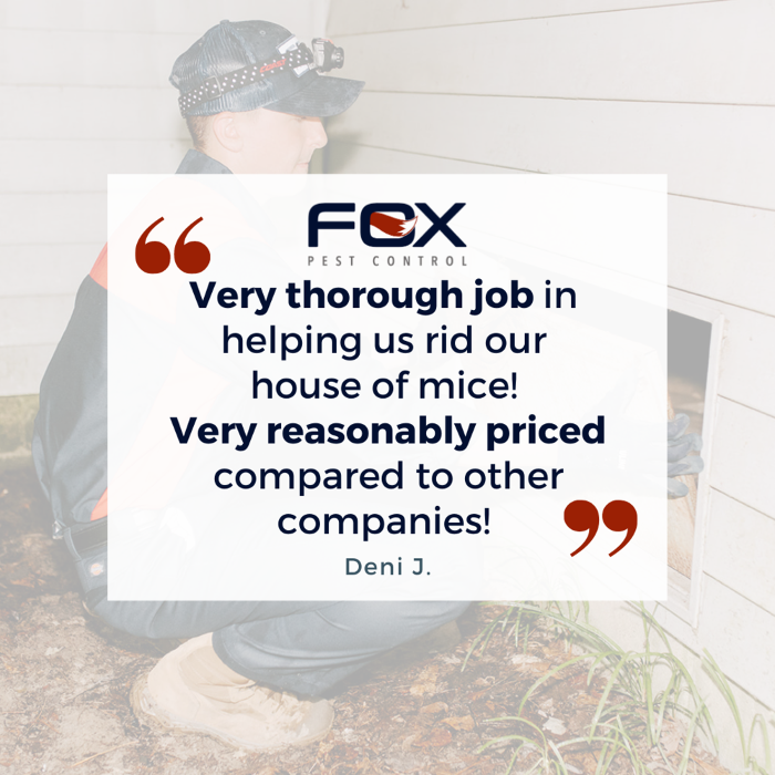 Fox Pest Control Lexington Image