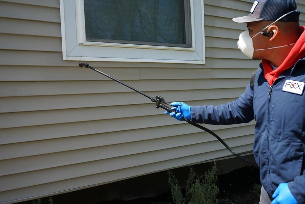 Fox Pest Control Lexington Image