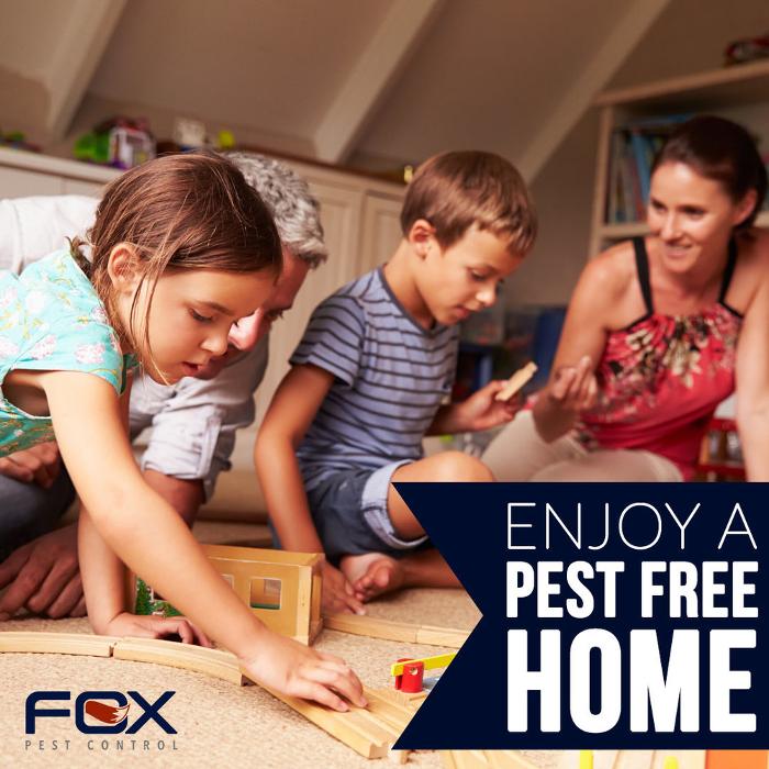 Fox Pest Control Lexington Image