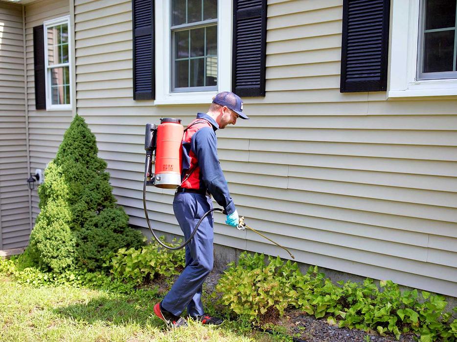 Fox Pest Control Lexington Image