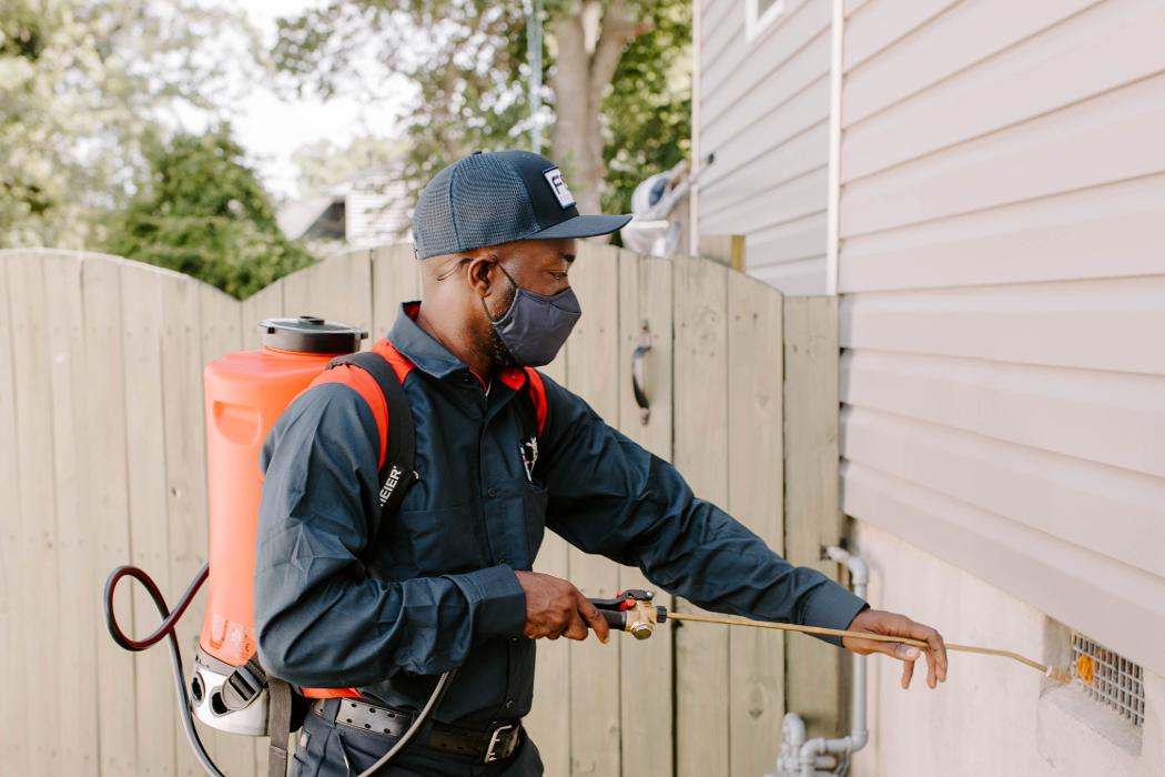 Fox Pest Control Lexington Image