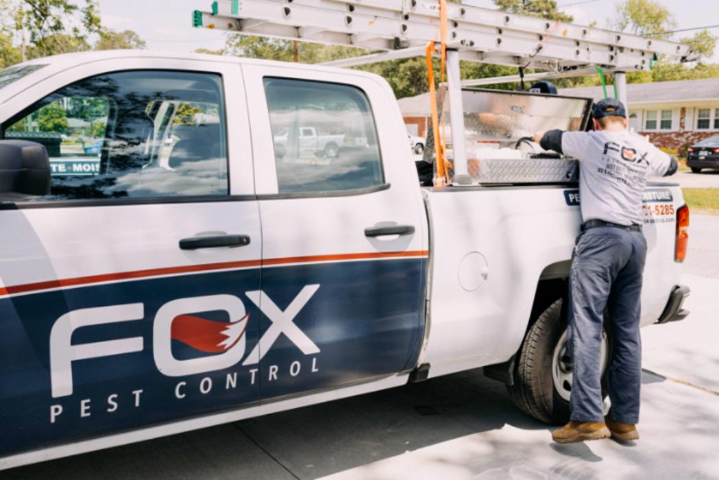 Fox Pest Control Lexington Image
