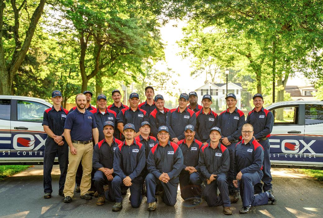 Fox Pest Control Lancaster