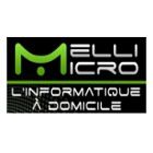 Melli Micro Autres services