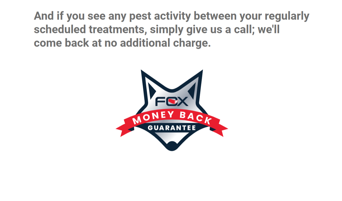 Fox Pest Control Logan