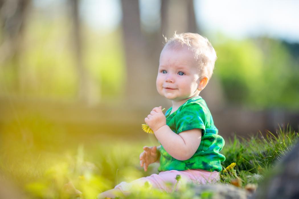 Michele McCoy Photography - Mountain Home, AR
