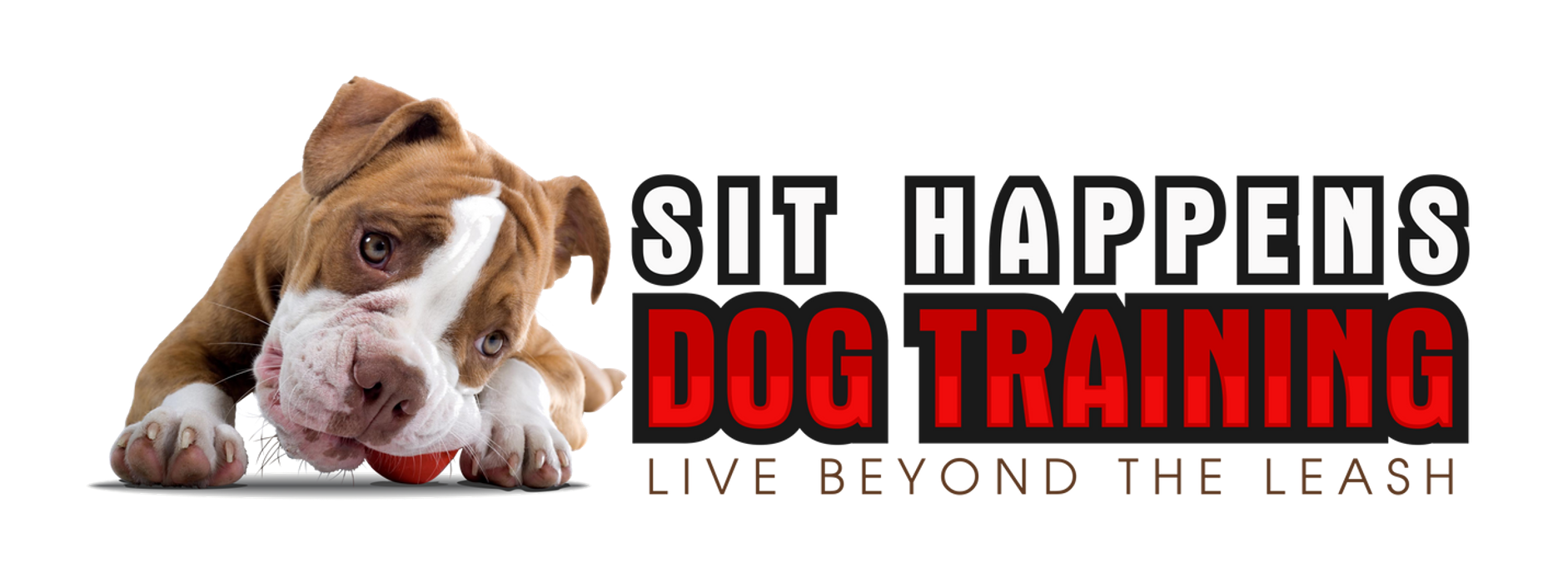 Sit Happens Dog Training LLC