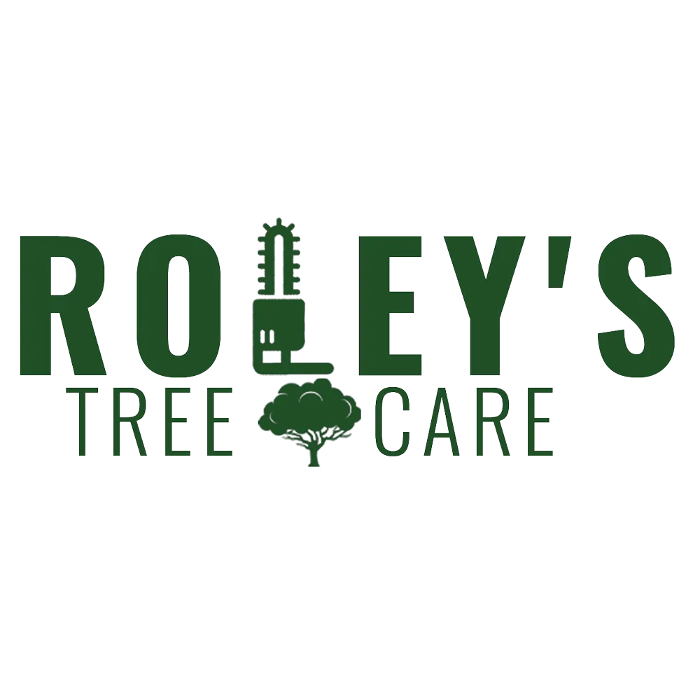 Roley's Tree Care - Langley, OK