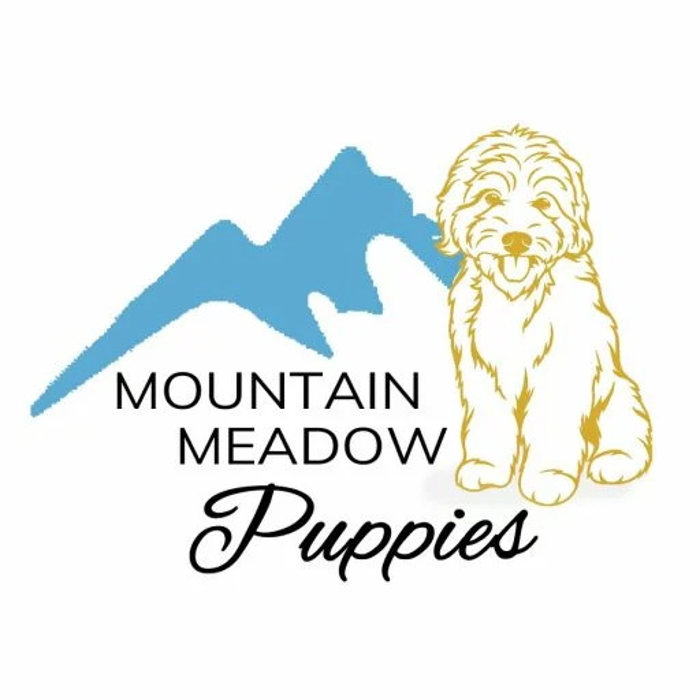 Mountain Meadow Puppies