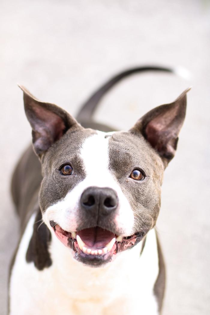 Autumn View Photography Image