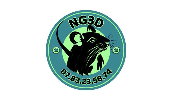 NG3D