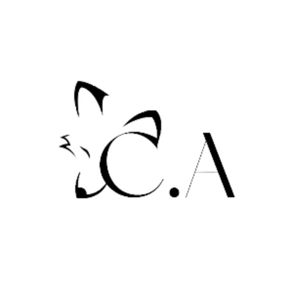 CA.Company Expert