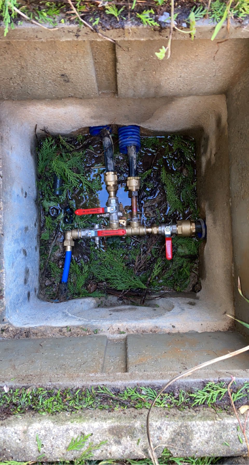 galerie image galerie image