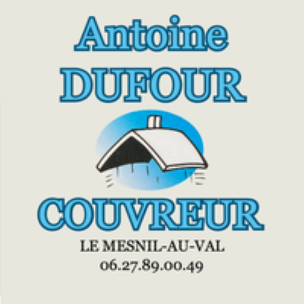 Dufour Antoine Expert