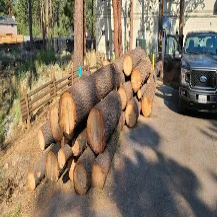 Sean Gannon Tree Service - South Lake Tahoe, CA