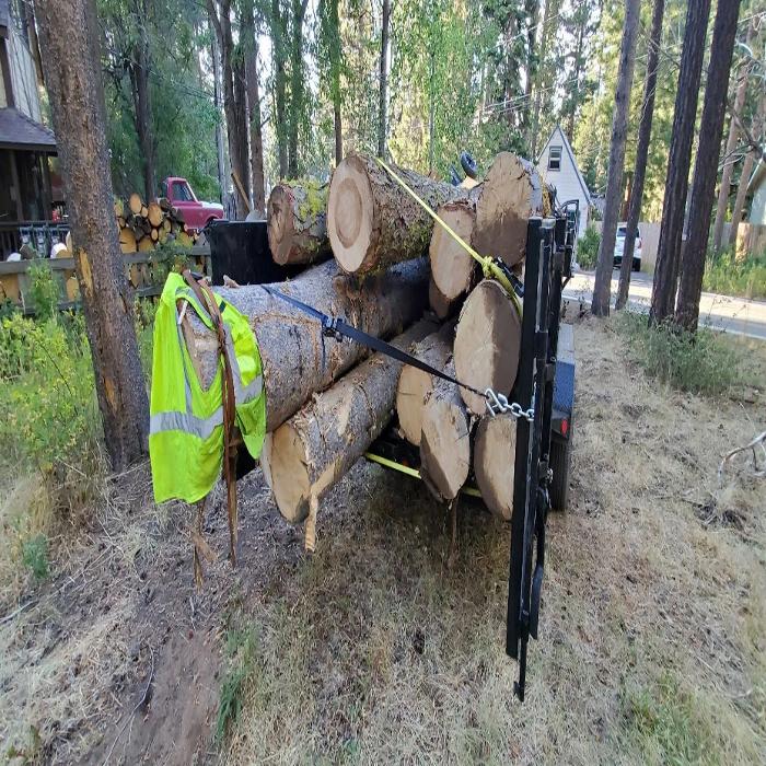 Sean Gannon Tree Service - South Lake Tahoe, CA
