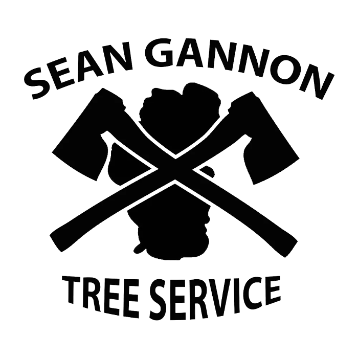 Sean Gannon Tree Service - South Lake Tahoe, CA