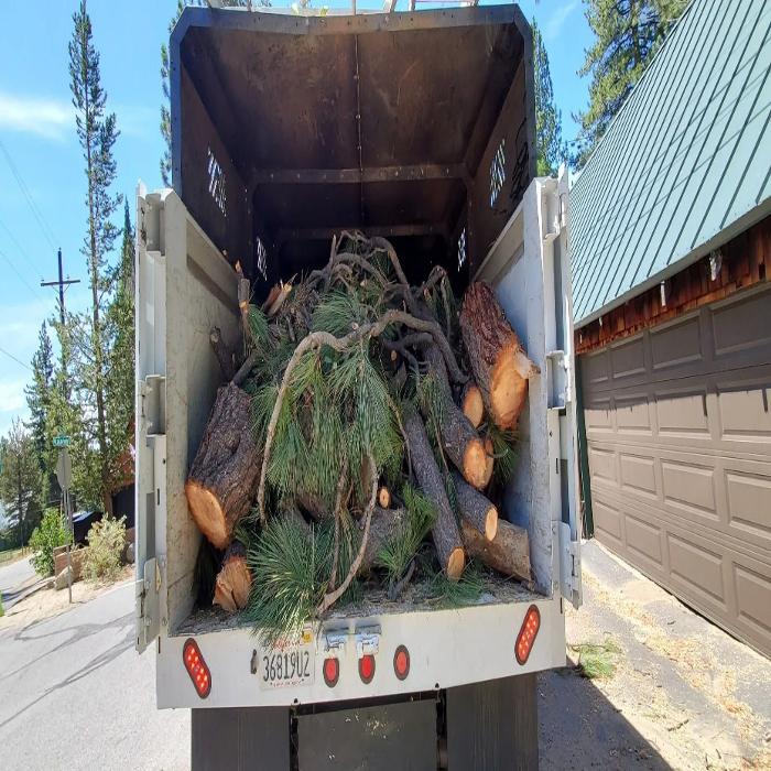 Sean Gannon Tree Service - South Lake Tahoe, CA