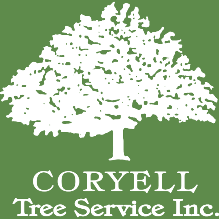 Coryell Tree Service - Trenton, NJ