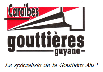 Caraibes Gouttieres Guyane vidange et curage