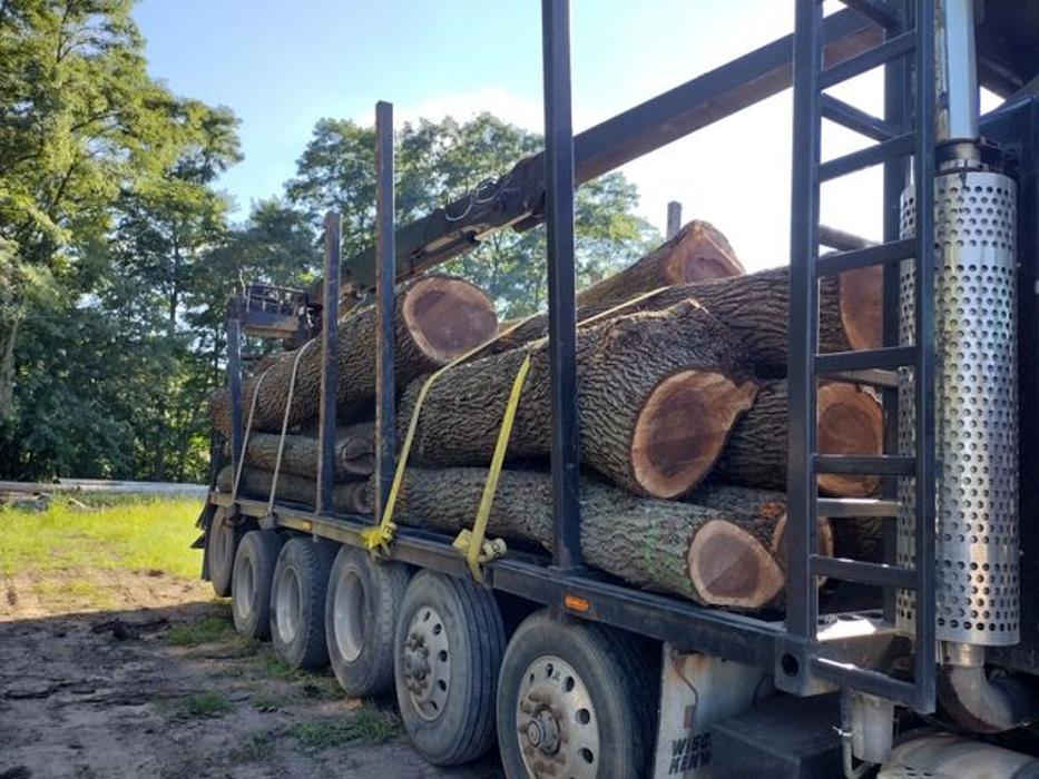 Backwoods Tree Co. - Jackson, MI